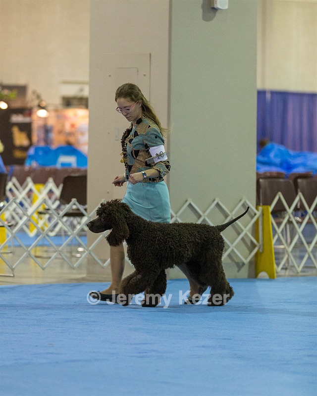10 - Poole's Ide Touch Of Mink (Darla)