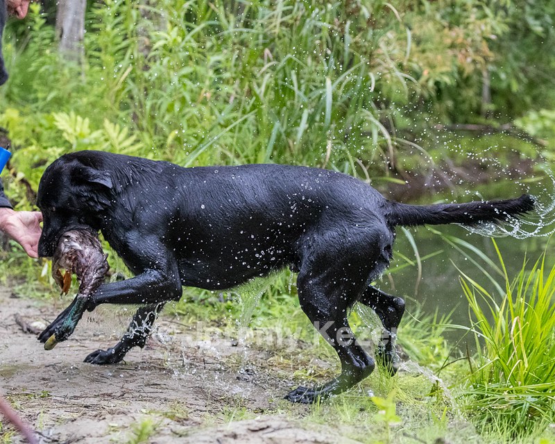 Cane Robichaud