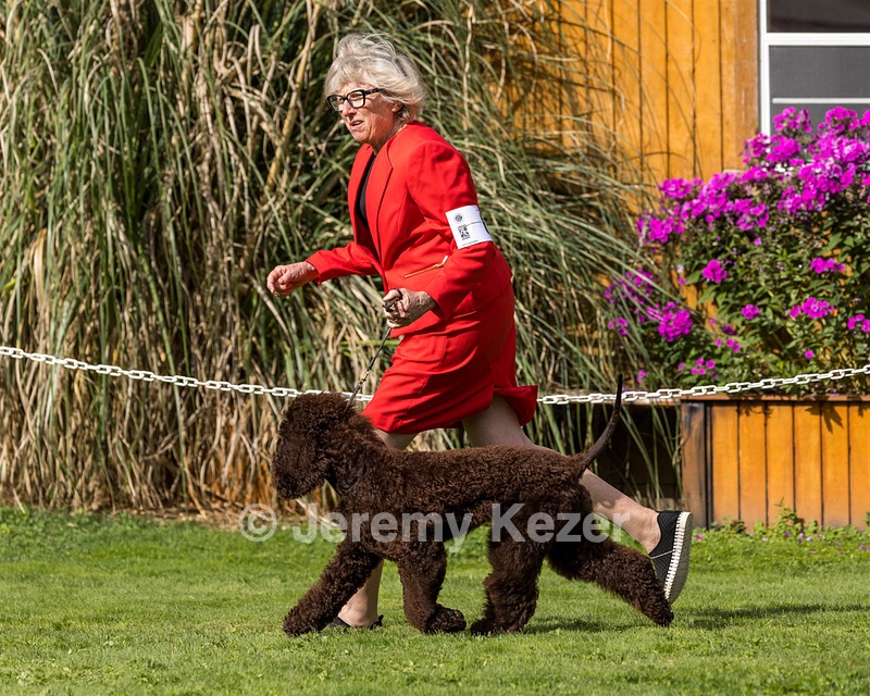 06 - FLINTCREST STEP RIGHT UP (Clara)