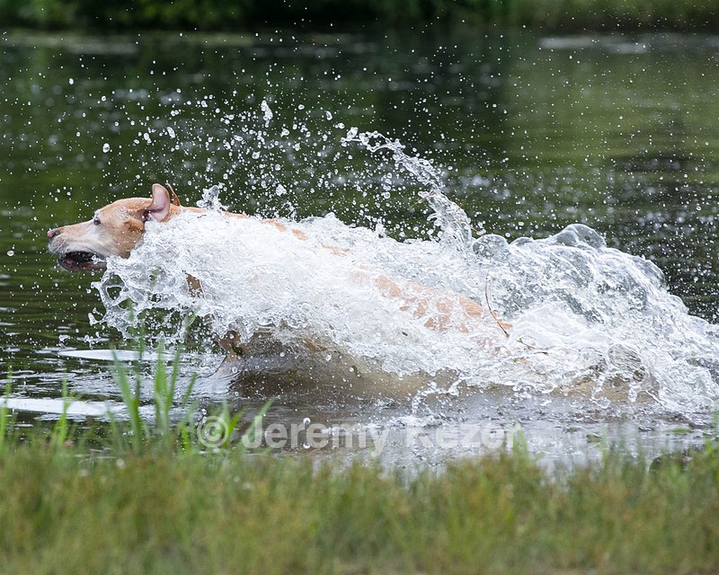 20130713-MHB2-0269.jpg