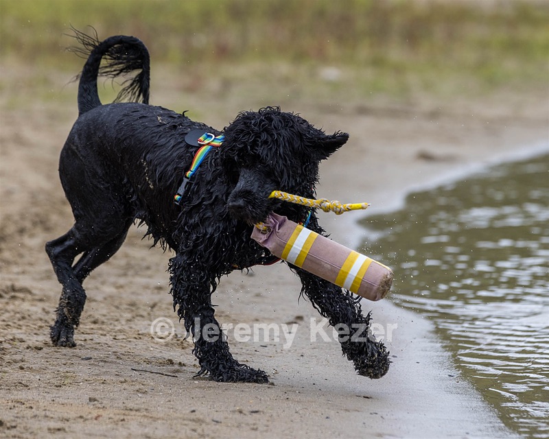 Scarlett Freeman
