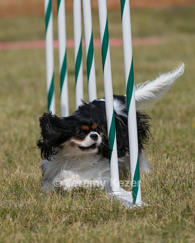 20150612-CCKC-0189.jpg