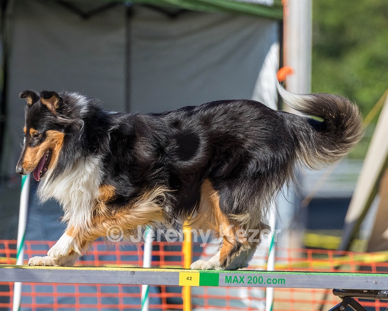 20160618-CCKC-2420.jpg