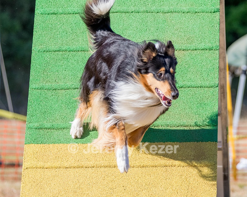 20160618-CCKC-2426.jpg