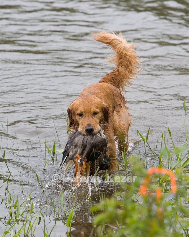20080531-HRW-0314.jpg