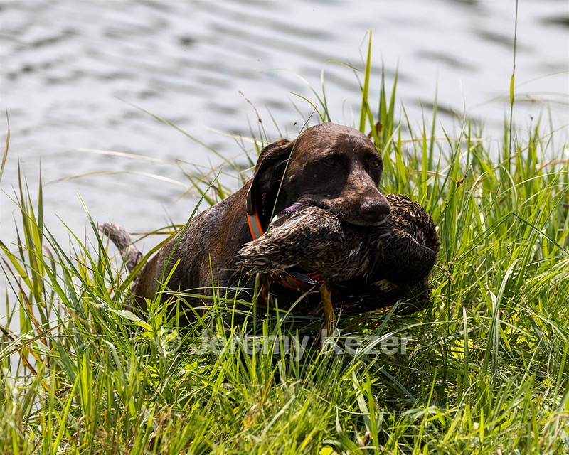Mitty Atkinson