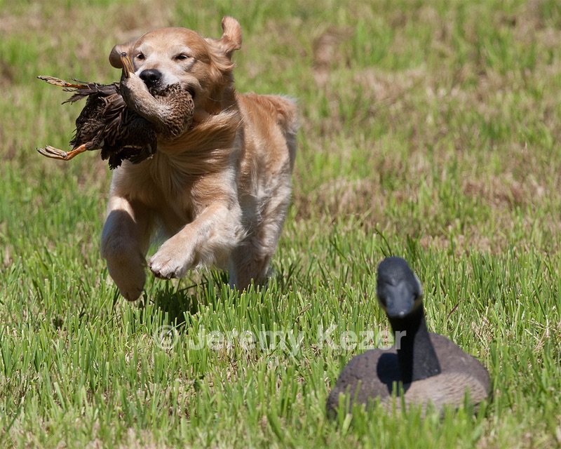 20130602-SEAL-0249.jpg