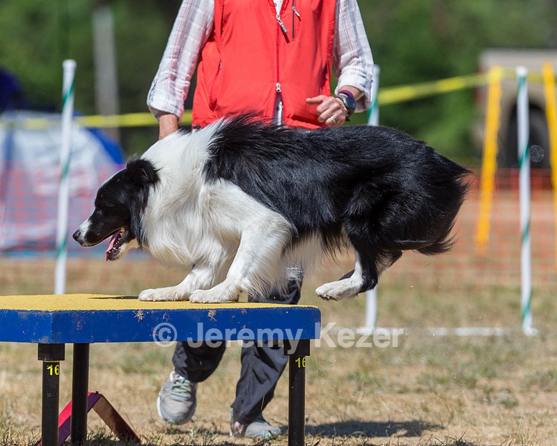 20160619-CCKC-1340.jpg
