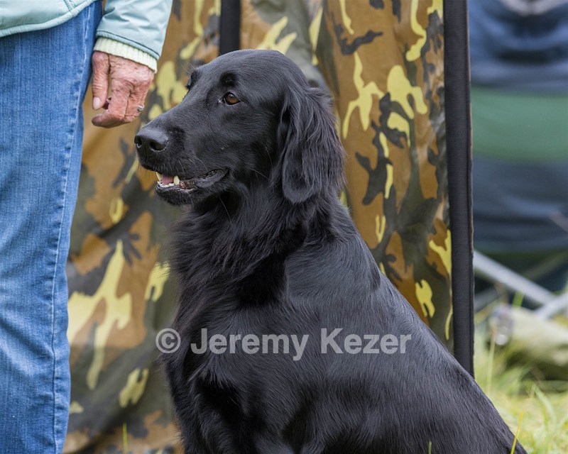 Ziva Millikin