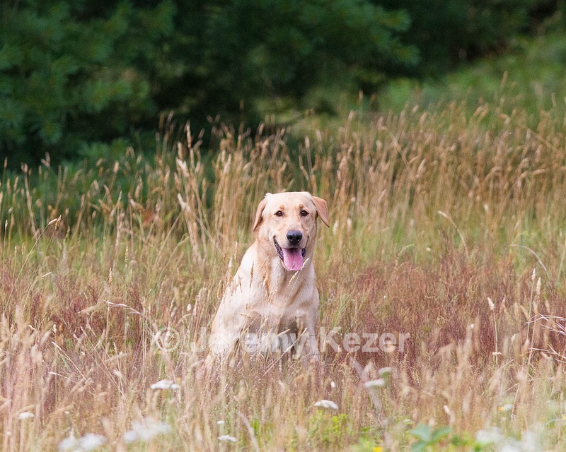 RUFF Millheim