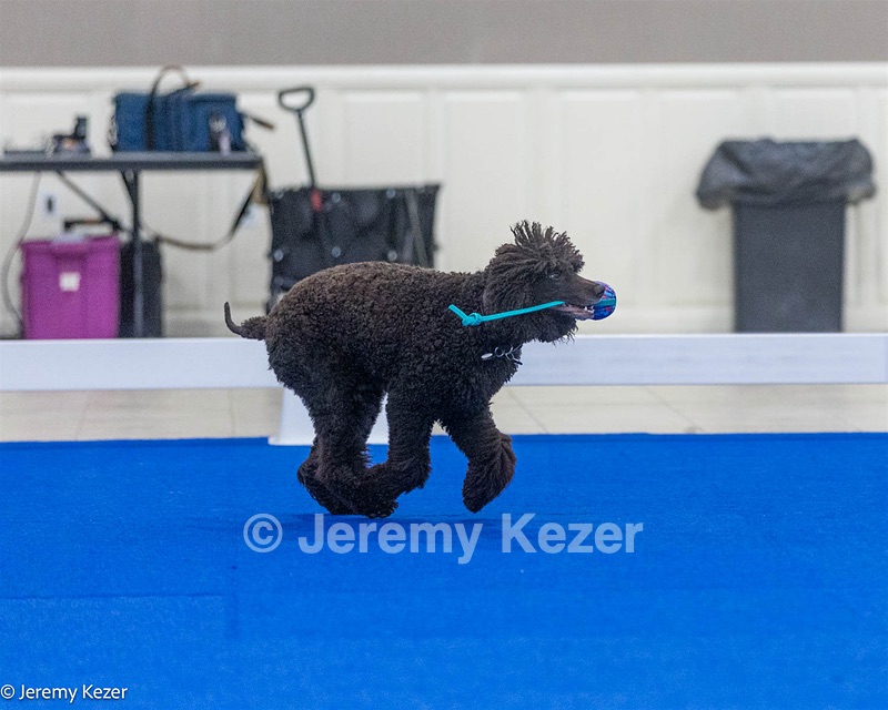 20240522-FT-0170.jpg
