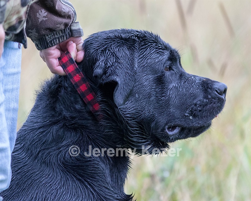 Murray Luongo