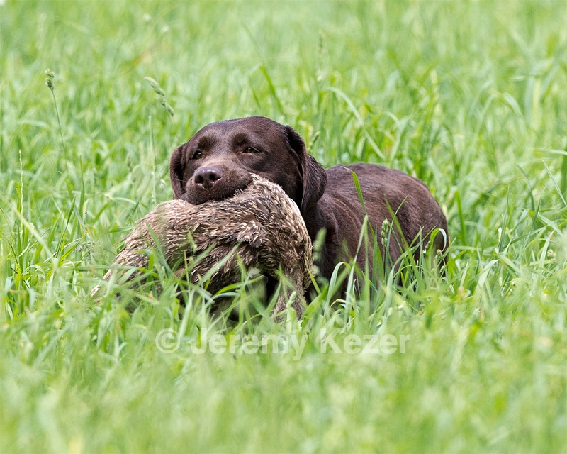20160604-SEAL-1183.jpg