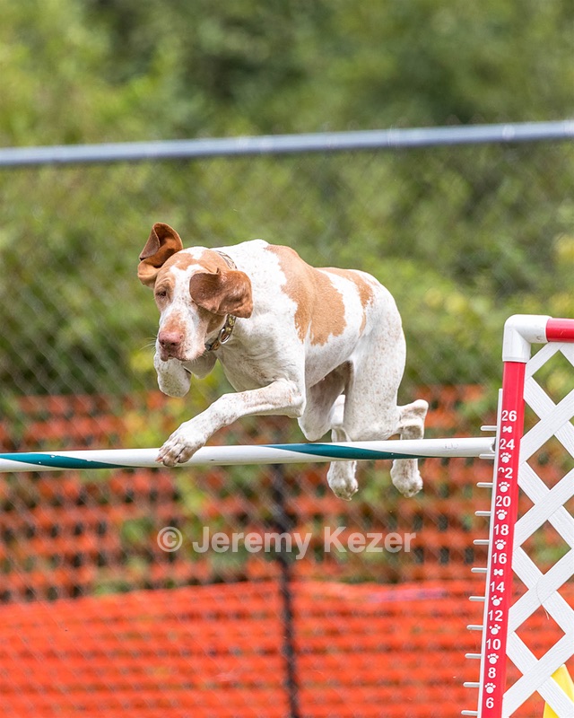 Elvira Pereira