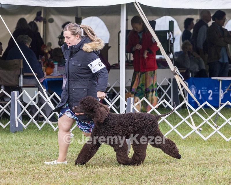 06 - CH POOLE'S IDE TEQUILA MOCKINGBIRD (Birdie)