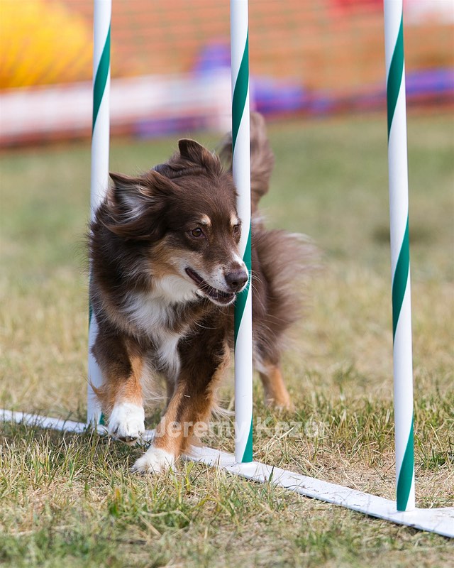 20150614-CCKC-0075.jpg