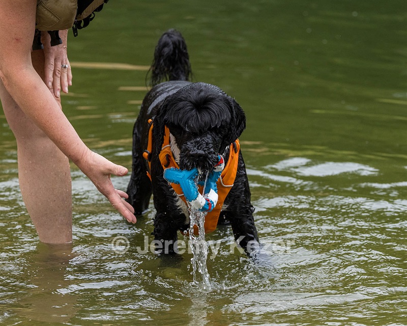 Liza Brogan