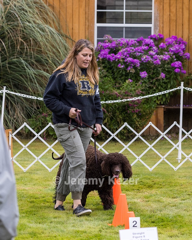 2204 - GCH CH BREKKON'S FIRST MARK CGC