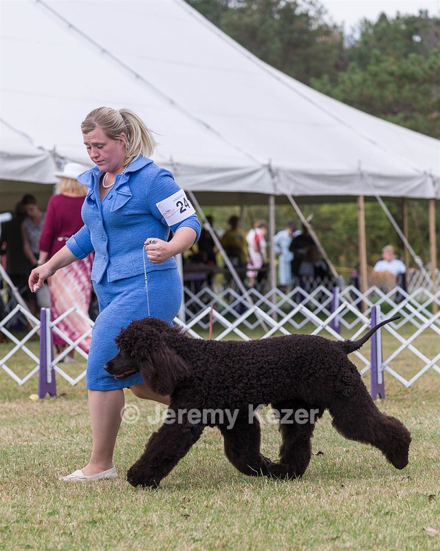 24 - GCH POOLE'S IDE SAY NO MORE CD RN CGC