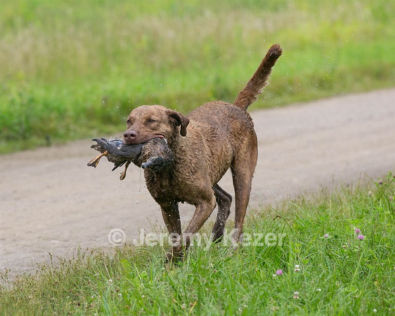 20130713-MHB2-0153.jpg