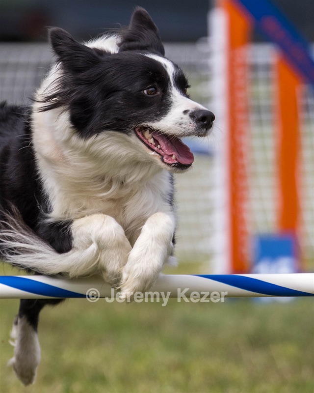 20230916-PVKC-2056.jpg
