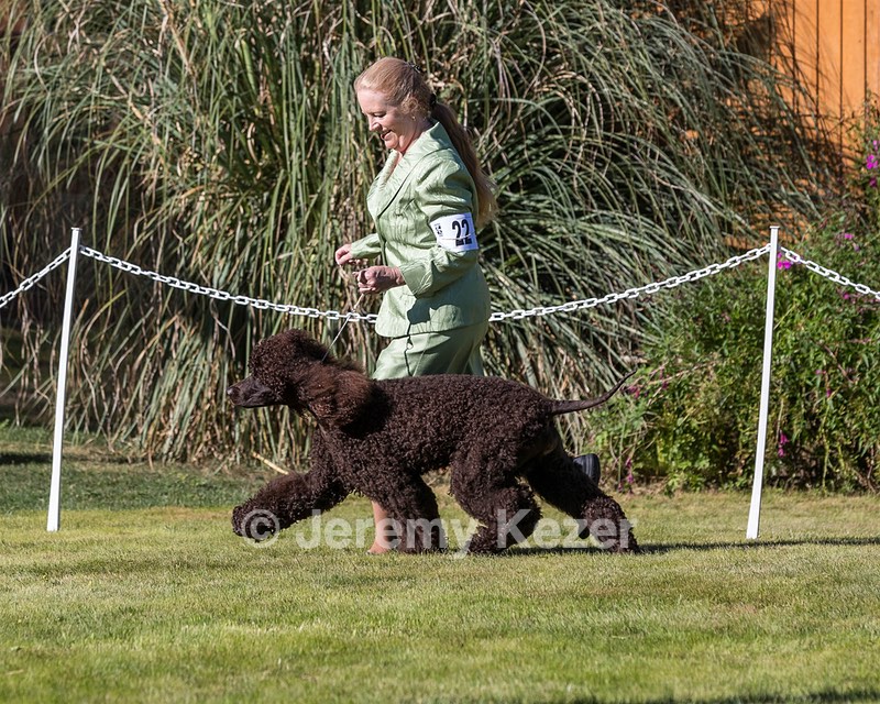 22 - COOMARA OGHA O'BOBN AT BELTANE BN RN RATN CGC TKN (Rob'N)