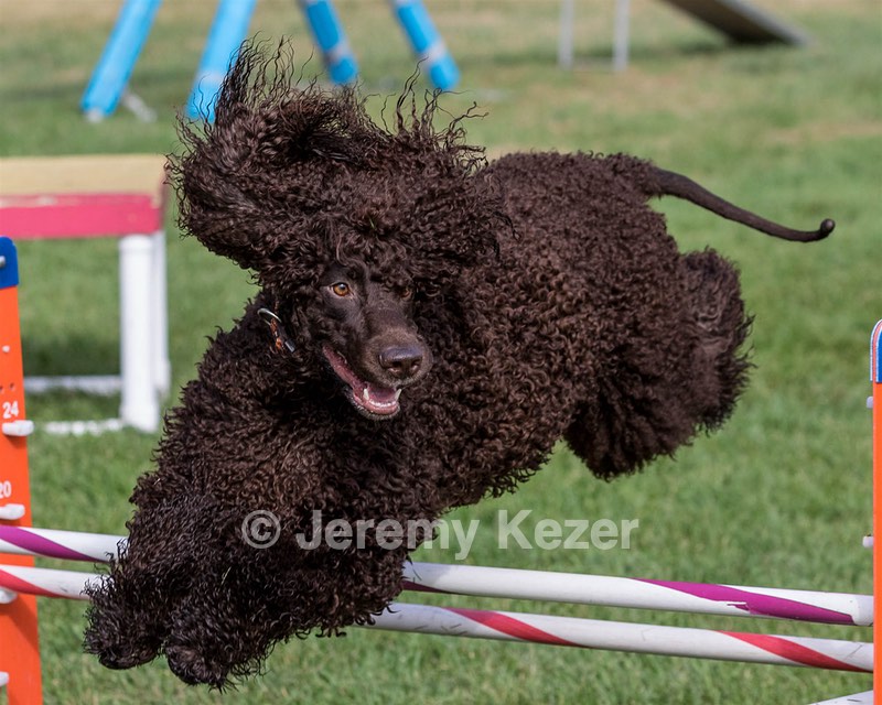 Sloane O'Reilly
