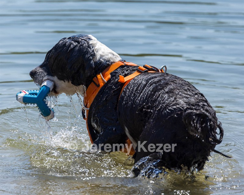 Piper Brogan