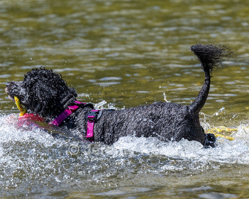 Tango Abbruzzese