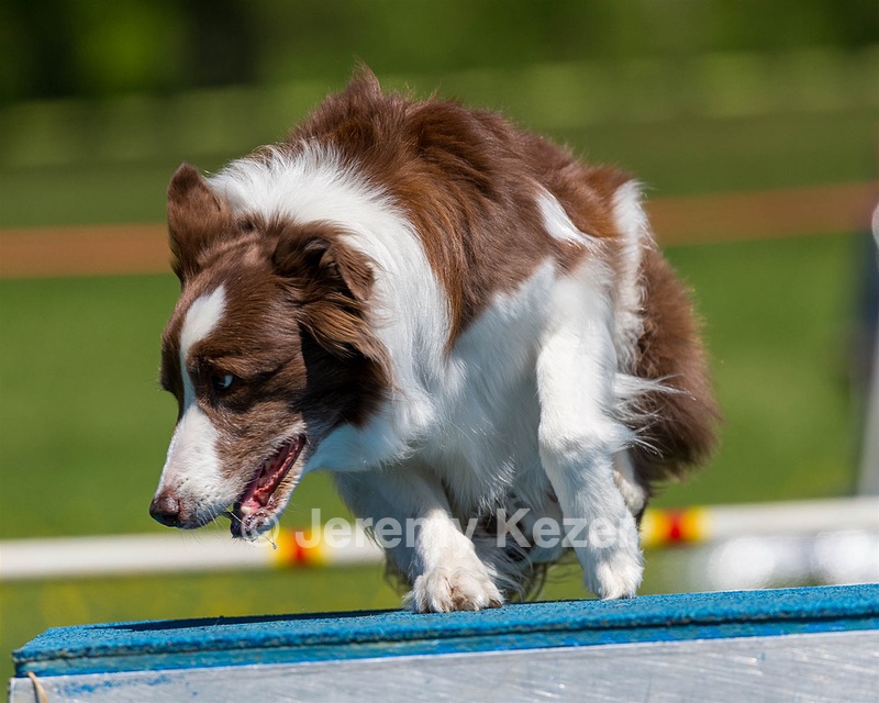 Kelso Ratner