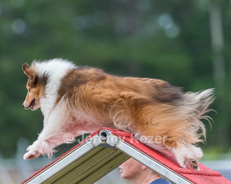 20190616-CCKC-0045.jpg