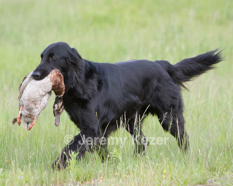 20080531-HRL-0233.jpg