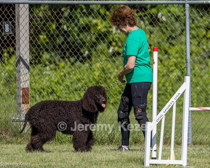 Paddy