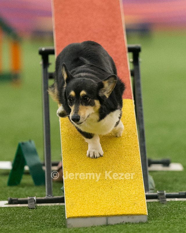 20150321-LEAP-1829.jpg