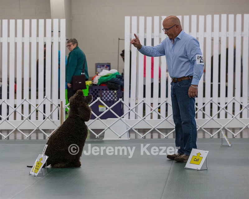 2503 - GCH CH BLACKTHORN'S KEEVA CROMPTON AX AXJ XF RN CGC (Keeva)