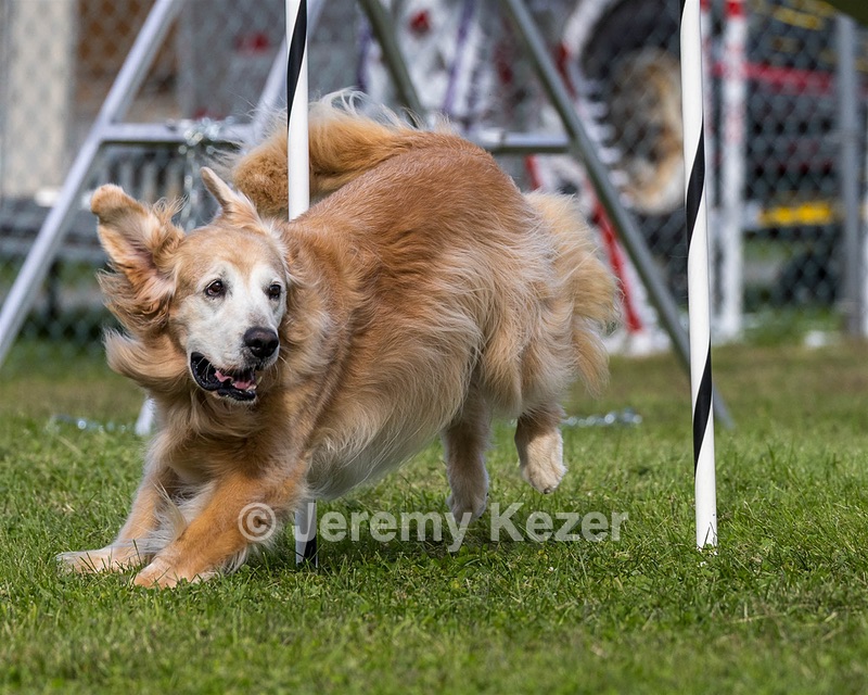 20230917-PVKC-2825.jpg