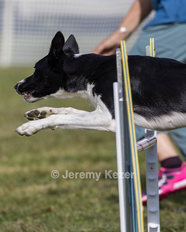 20230916-PVKC-1375.jpg