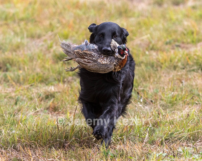 20161008-WCL-0016.jpg