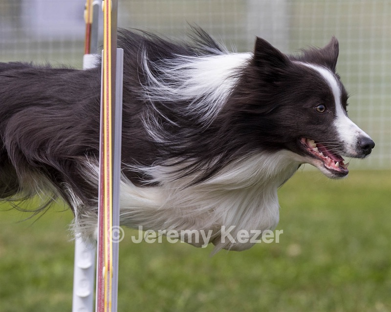 20230916-PVKC-2048.jpg