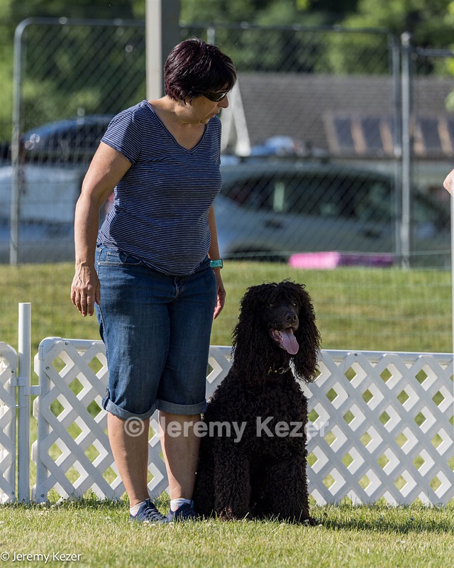 16 - GCH CH Chantico's Shelter From The Storm CD RA MX AXJ MXP2 MJP2 MJPB XF DS (Reef)
