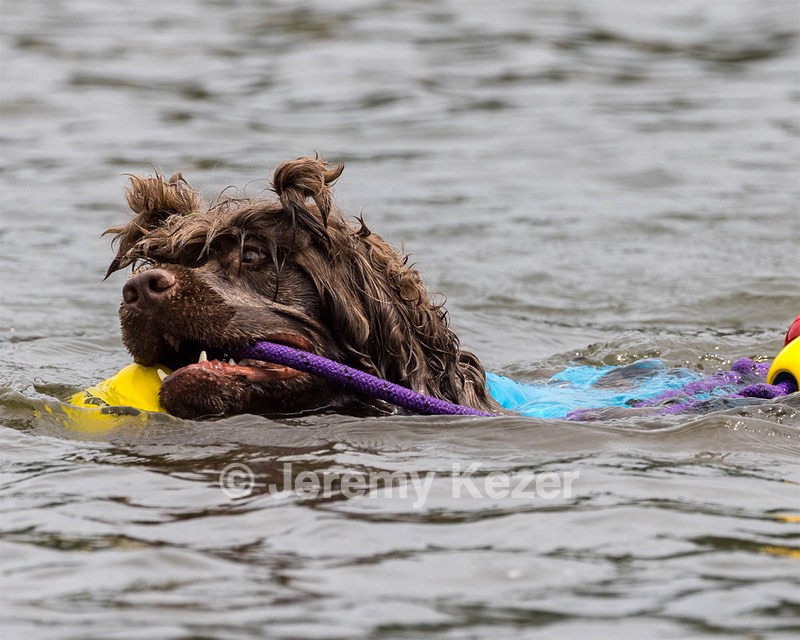 Smudge Lefebvre