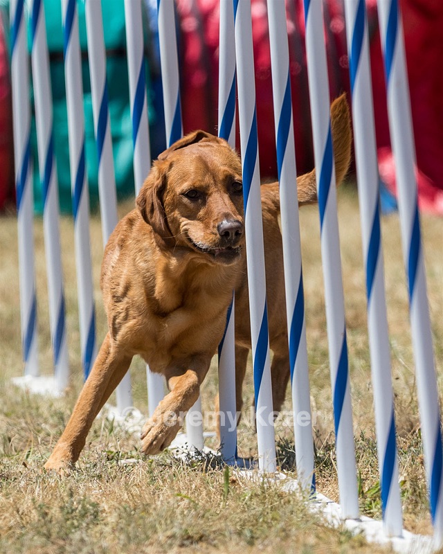 20160618-CCKC-1562.jpg