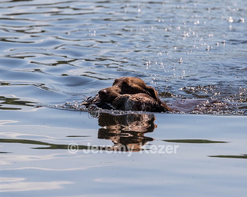 20190804-SHW-0004.jpg