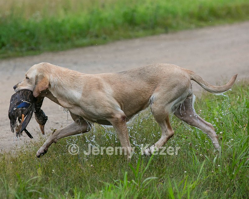 20130713-MHB2-0243.jpg