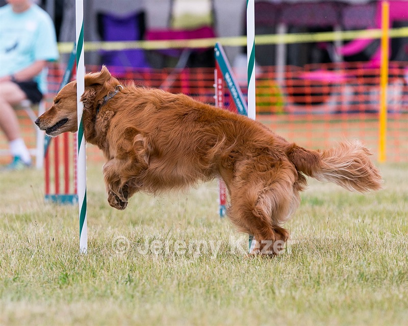 20150612-CCKC-0031.jpg