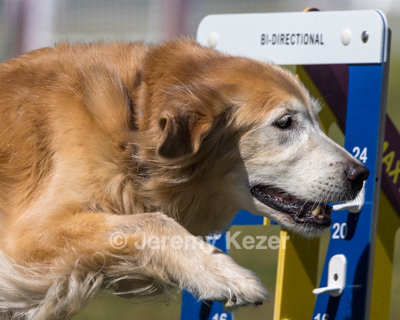 Keeper Beaulieu