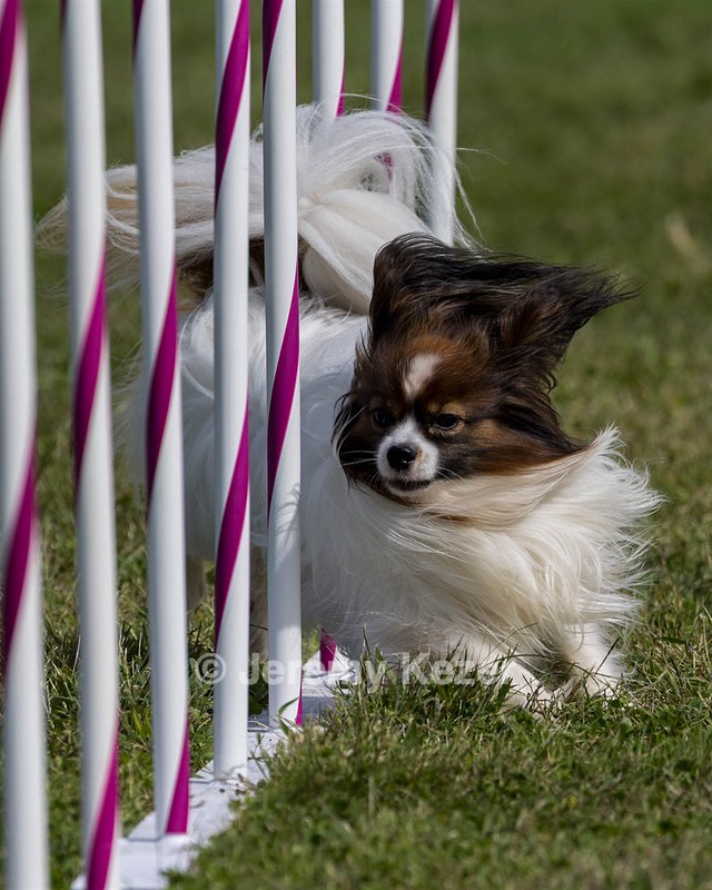 20230916-PVKC-1100.jpg