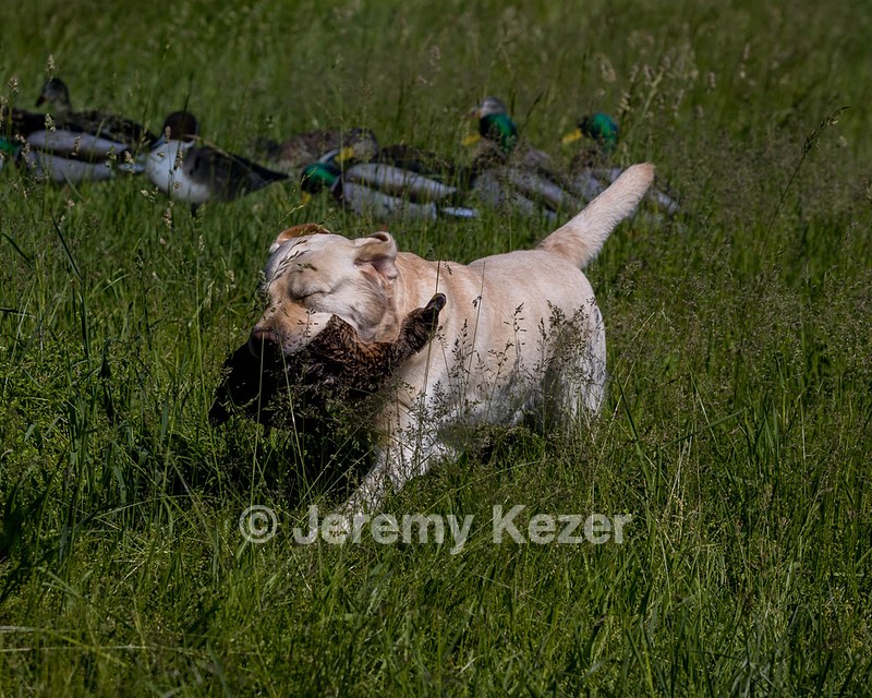 20210606-SEAL-1404.jpg