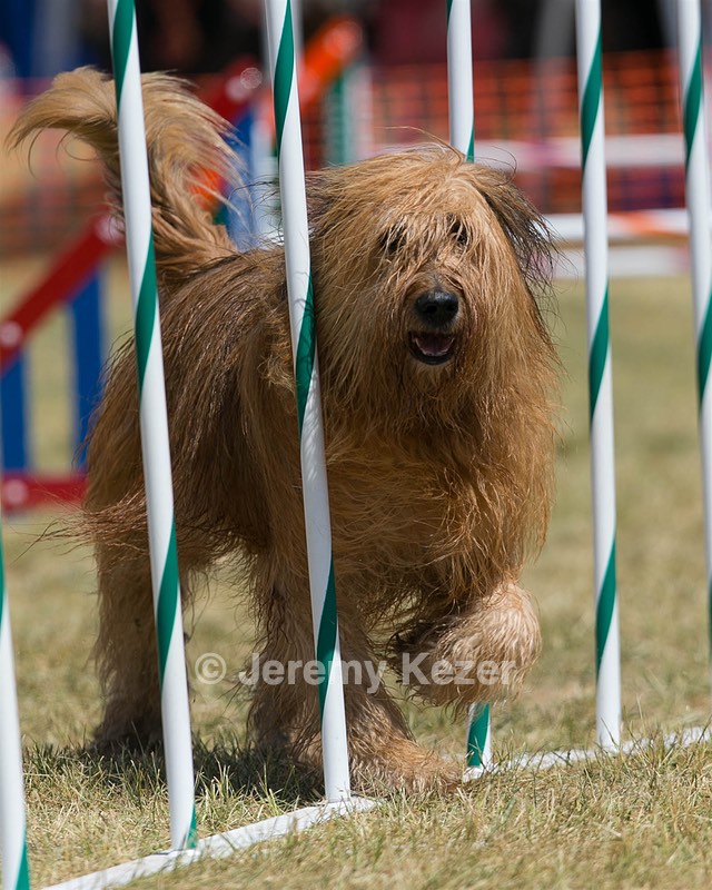 20150614-CCKC-1769.jpg