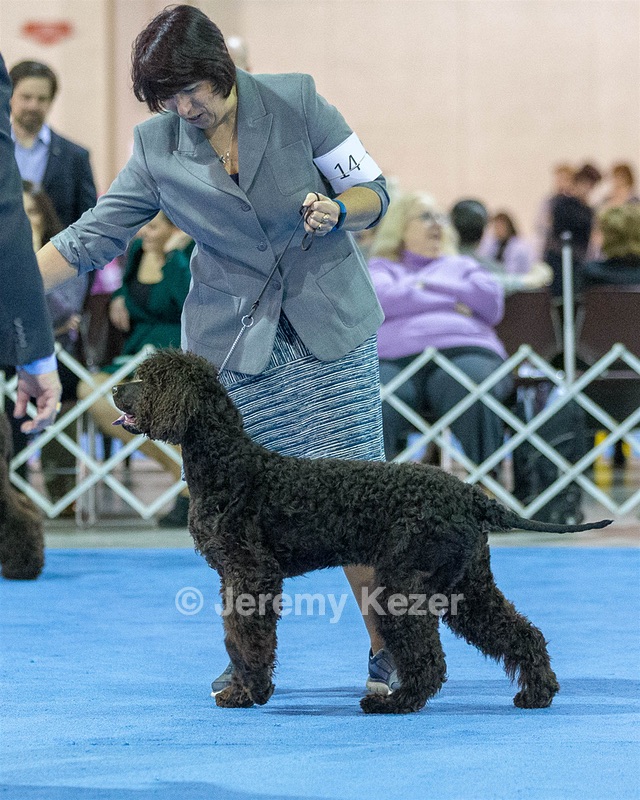 14 - Chantico's Super G O'Muddy Waters (Ghillie)